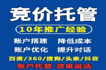 电商SEM推广案例解析